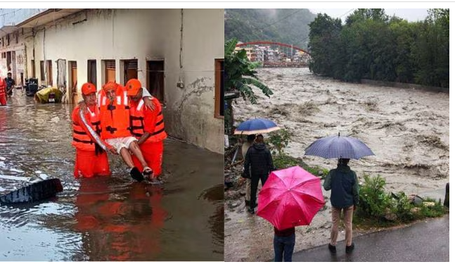 Illegal tree felling logs in Himachal flood waters Supreme Court notice